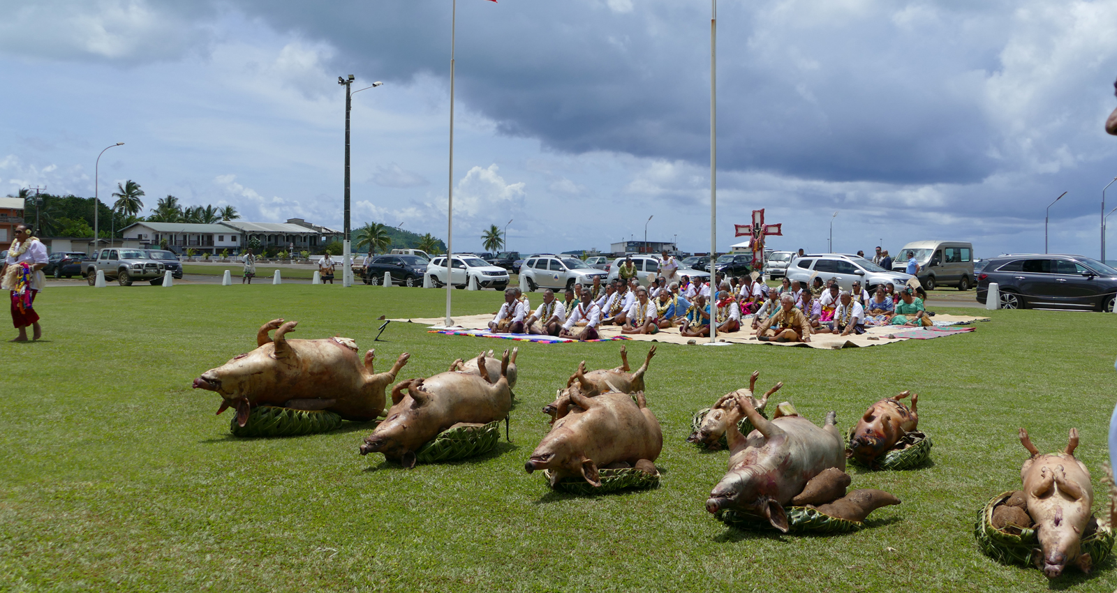 La tradition d'accueil, les cochons grillés pour le Kava