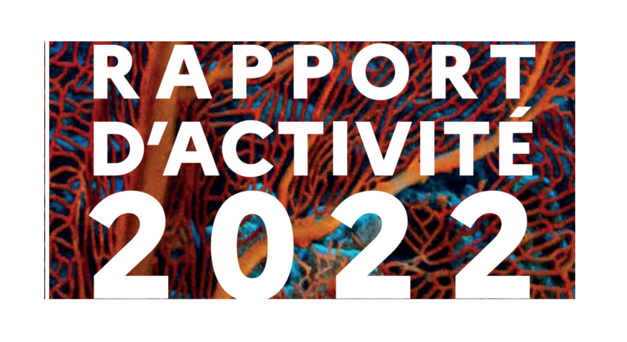 Couverture du rapport d'activité de la DGOM 2022