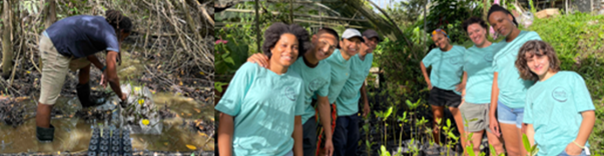 Projet de l’association Roots of the Sea « Coup de pouce participatif à la Mangrove Martiniquaise » 