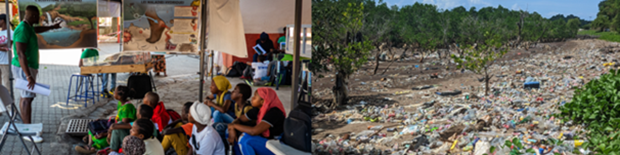 Projet de l’association des Naturalistes de Mayotte